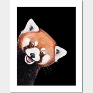 Red panda Posters and Art